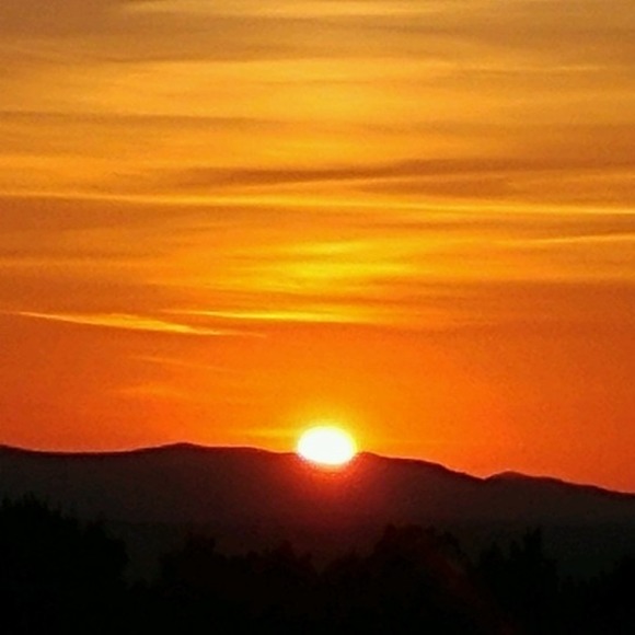 Meet your Posher, Caryn - Picture 1 of 1